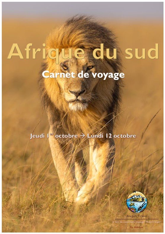 1er page Afrique du sud Carnet de voyage