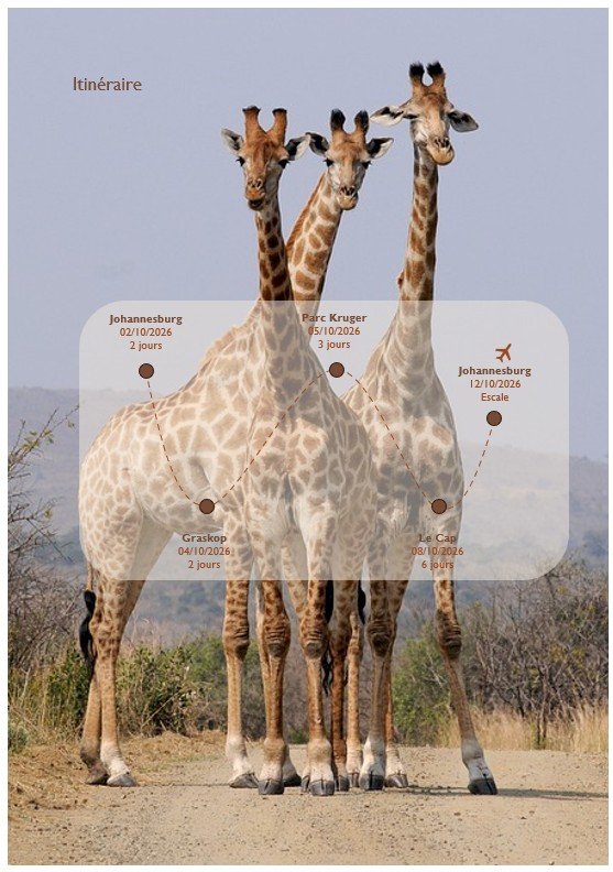 4e page Afrique du sud Carnet de voyage